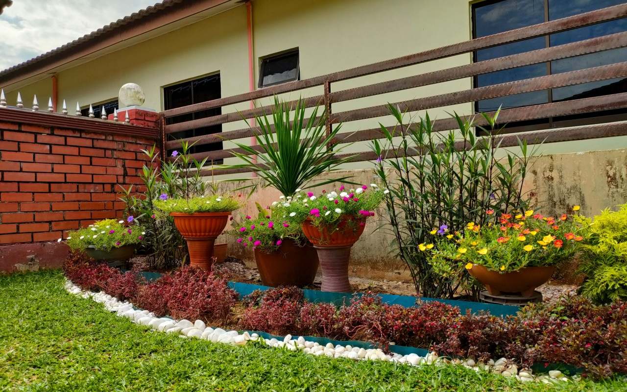 Flori de gradina care infloresc tot anul - inspiratie pentru a crea propriul tau colt de rai