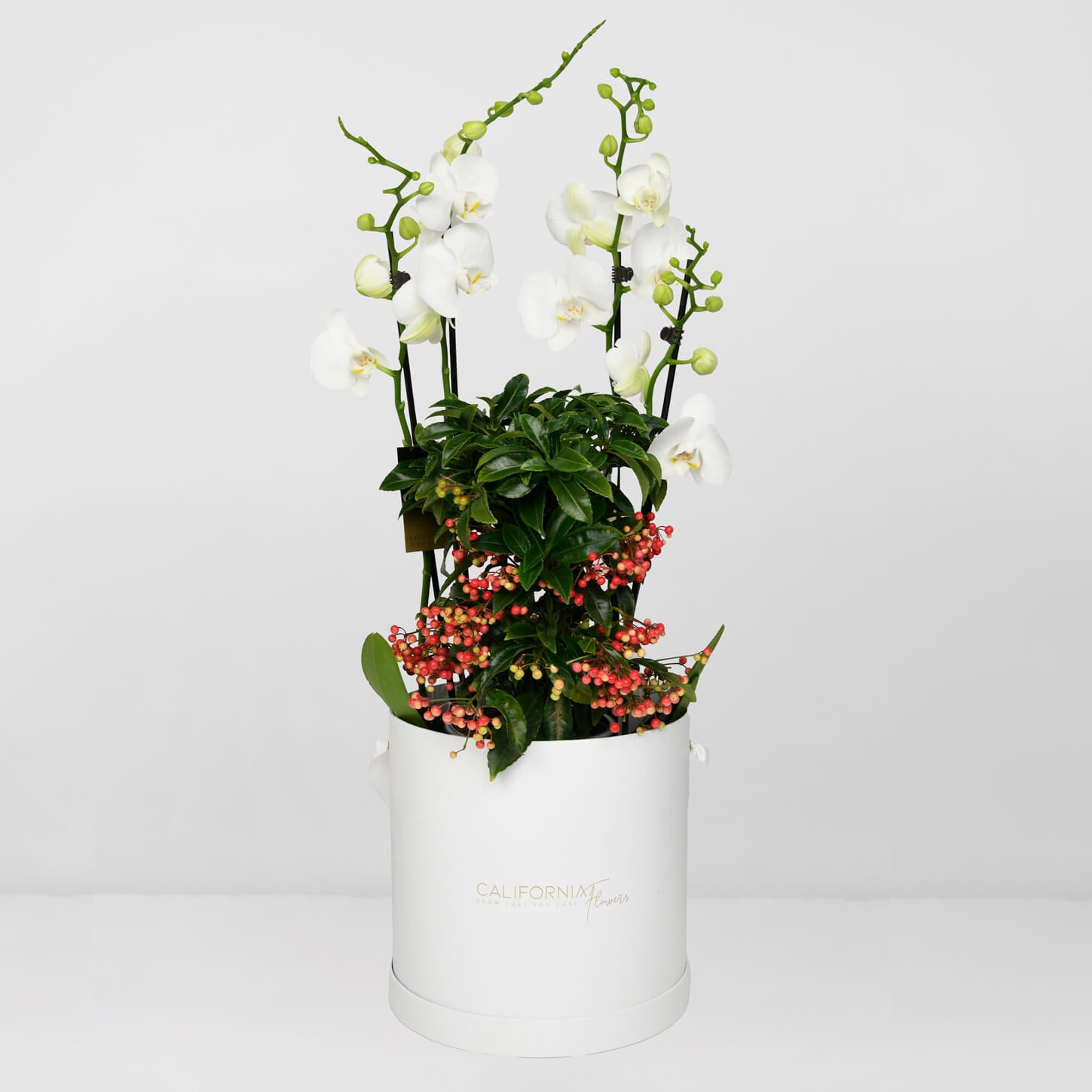 Aranjamente florale de Craciun - California Flowers, Aranjament cu Orhidee Phalaenopsis si Ardisia, californiaflowers.mom