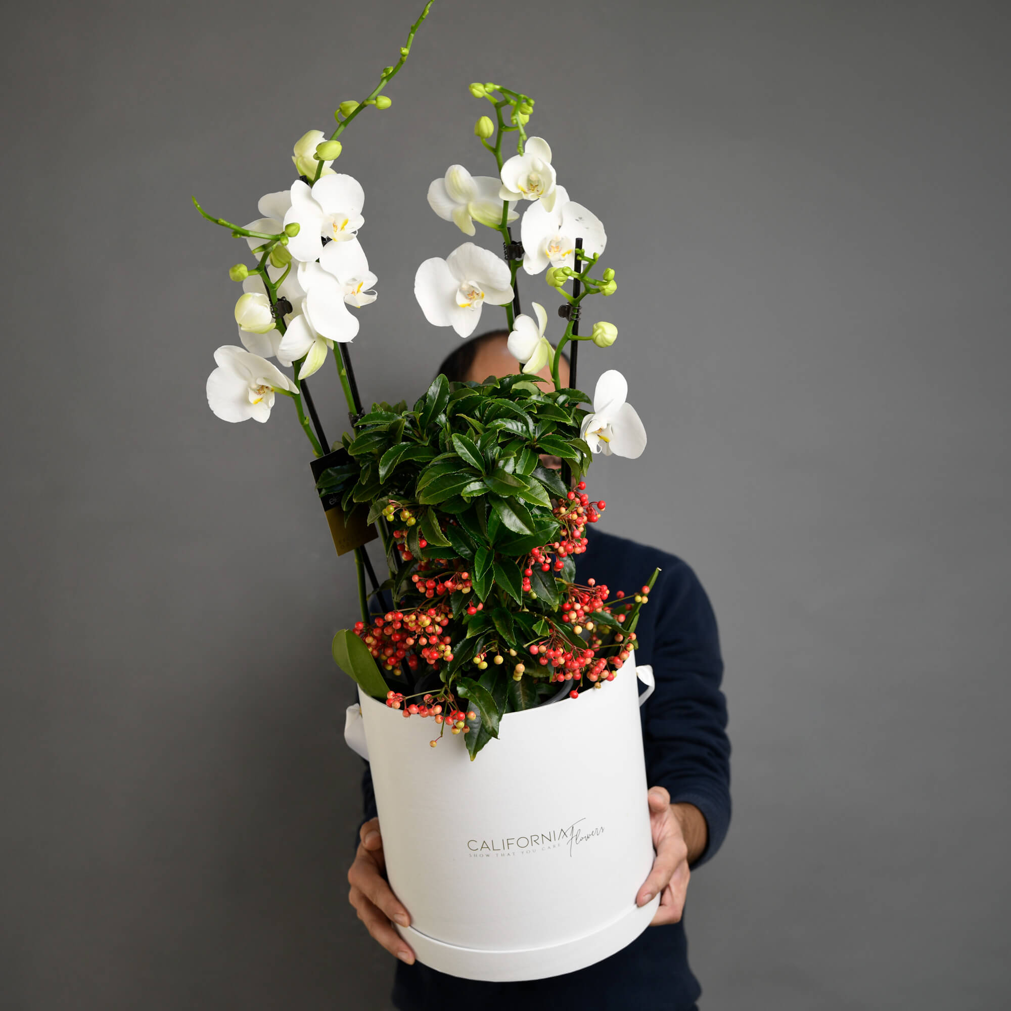 Aranjamente florale de Craciun - California Flowers, Aranjament cu Orhidee Phalaenopsis si Ardisia, californiaflowers.mom