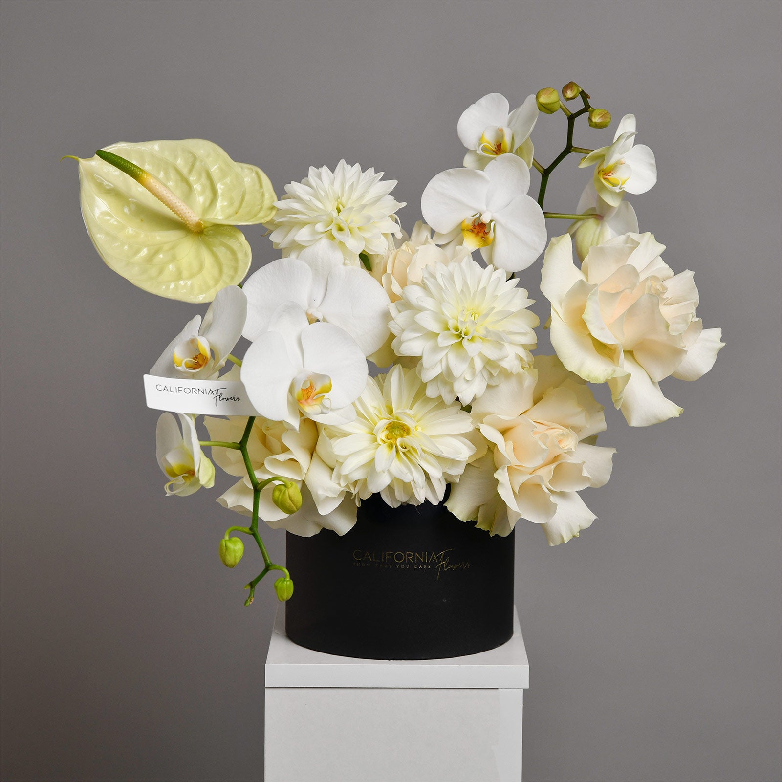 Aranjament floral in cutie cu orhidee phalaenopsis si anthurium, 3, californiaflowers.mom