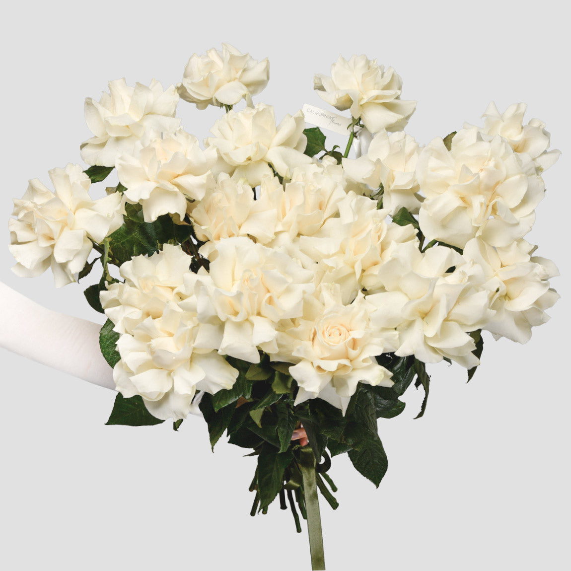 Flori pentru iubita – California Flowers, Buchet 25 trandafiri speciali albi, californiaflowers.mom