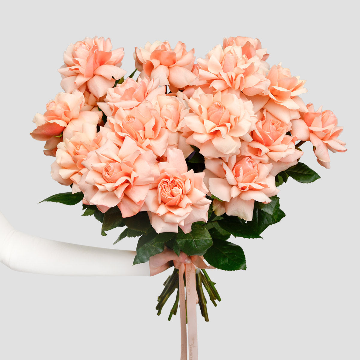 Buchete de trandafiri - California Flowers, Buchet 25 trandafiri speciali peach, californiaflowers.mom
