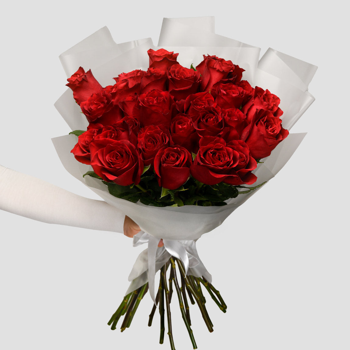 De ce mucegaieste pamantul la flori: cauze, prevenire si solutii efici, Buchet 29 trandafiri rosii, californiaflowers.mom