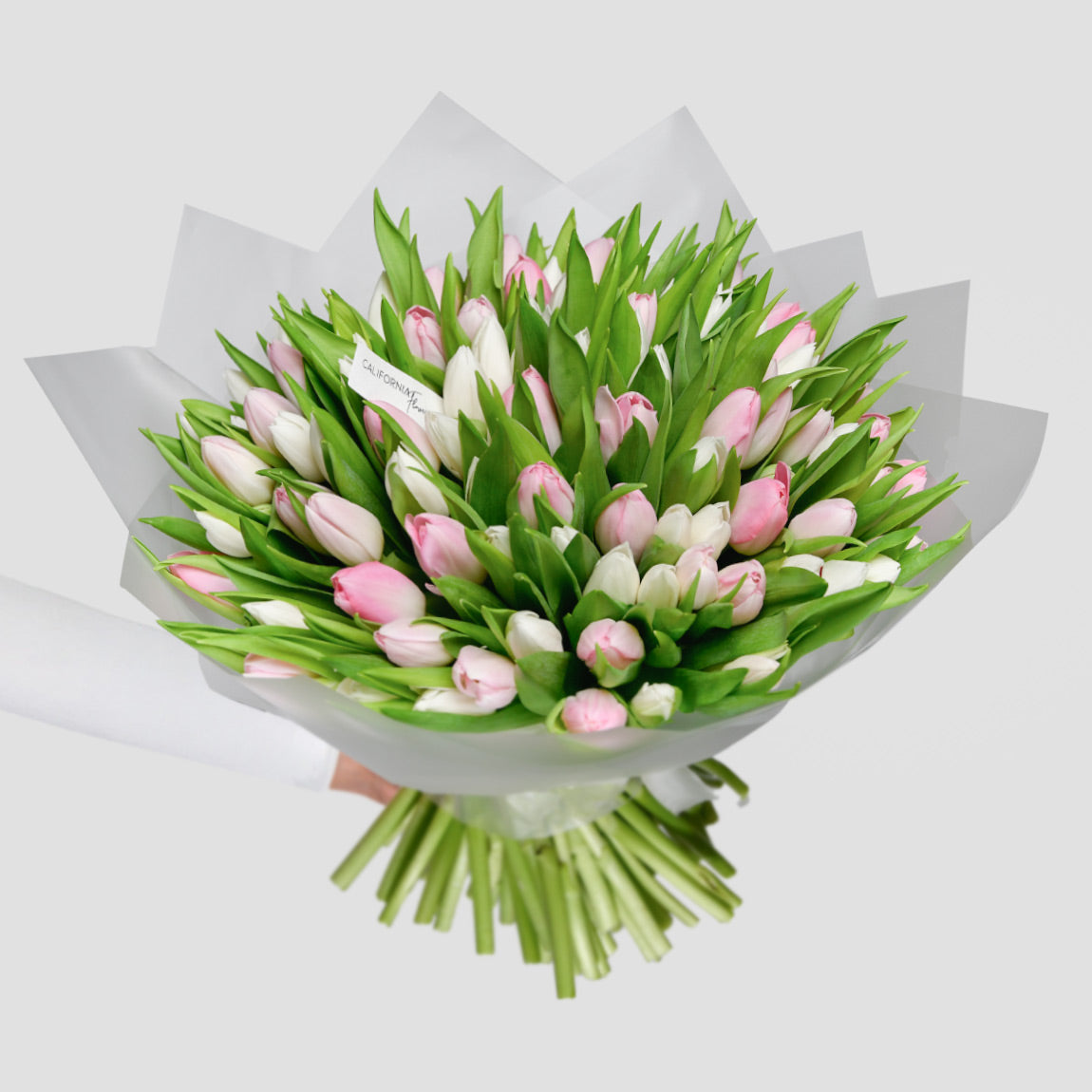 Buchete lalele - California Flowers, Buchet 101 lalele albe si roz, californiaflowers.mom