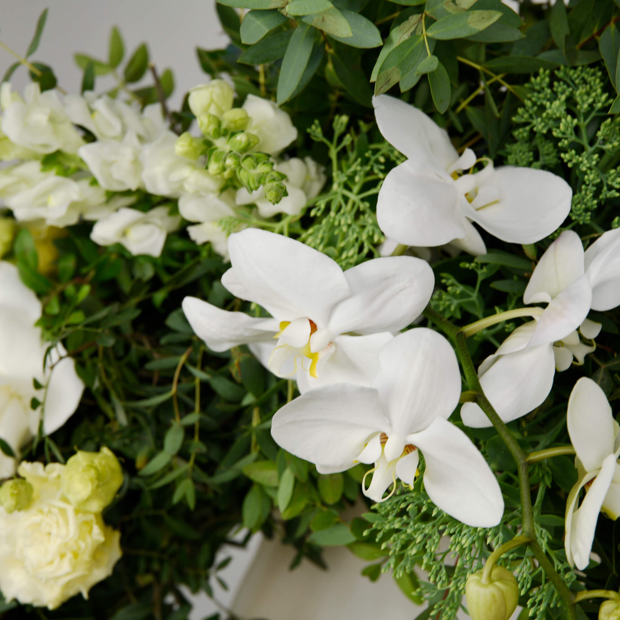 Coroana funerara rotunda cu lisianthus si orhidee phalaenopsis, 2, californiaflowers.mom