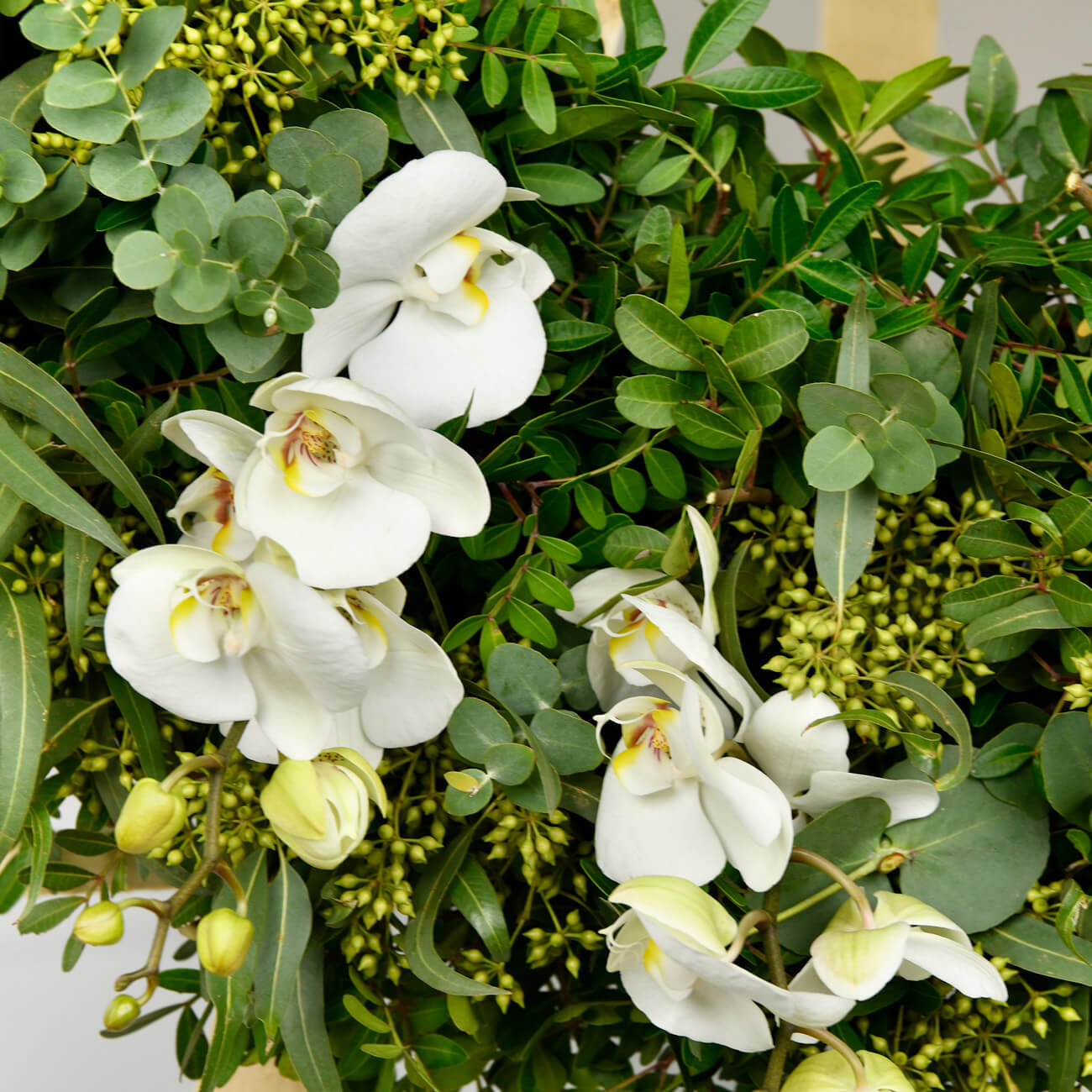 Coroane funerare, Coroana funerara rotunda cu orhidee phalaenopsis si crini, californiaflowers.mom