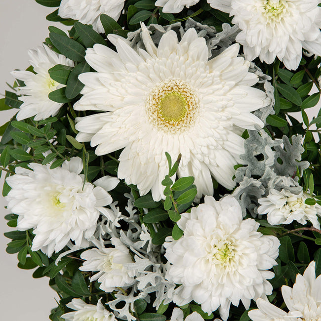 Produse, Coroana funerara rotunda cu crizanteme si gerbera alba, californiaflowers.mom