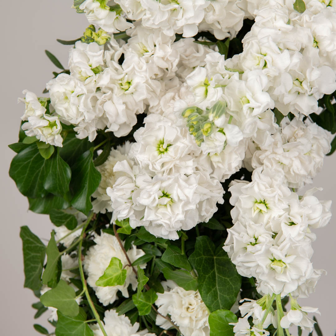 Coroana de flori rotunda cu matthiola si garoafe albe, 2, californiaflowers.mom