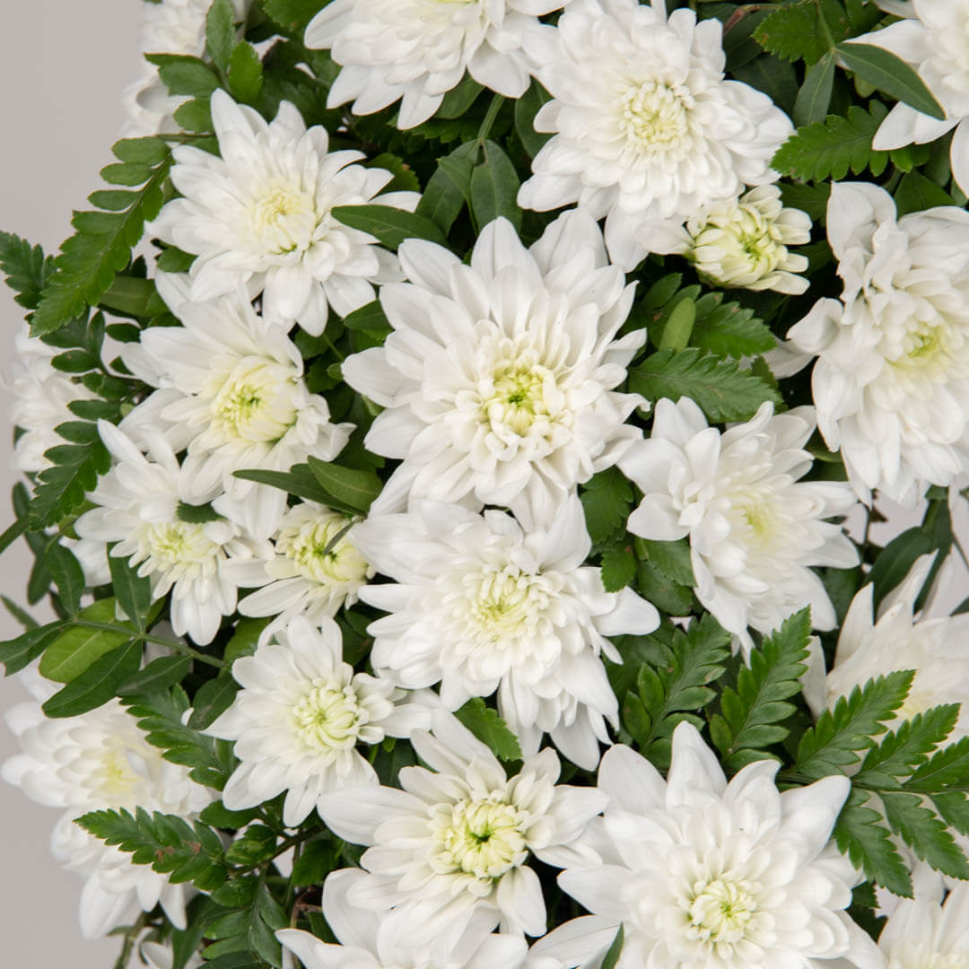 Coroane funerare, Coroana funerara rotunda cu crizanteme si pistacia, californiaflowers.mom