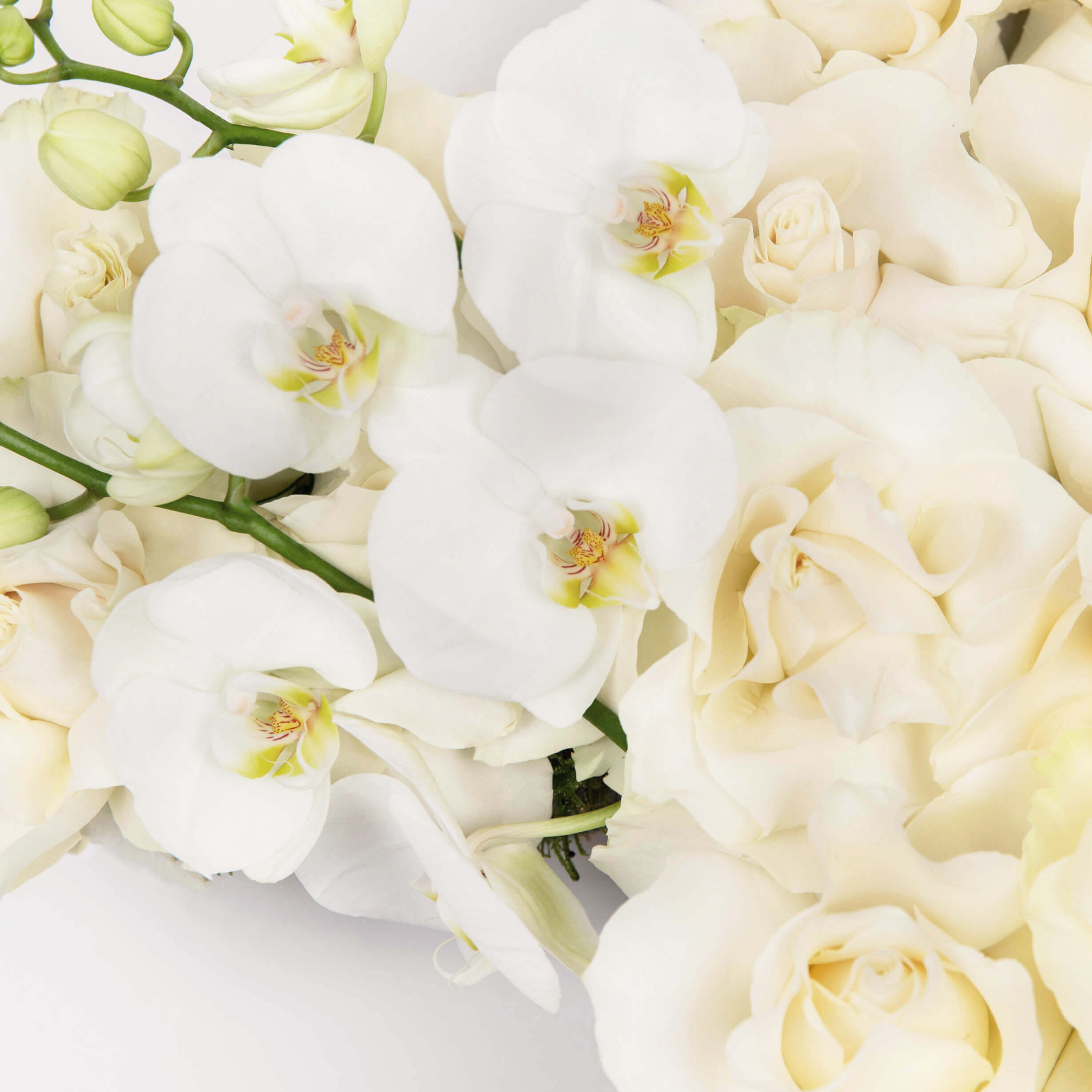 Produse, Aranjament floral funerar cruce cu trandafiri albi si orhidee phalaenopsis, californiaflowers.mom