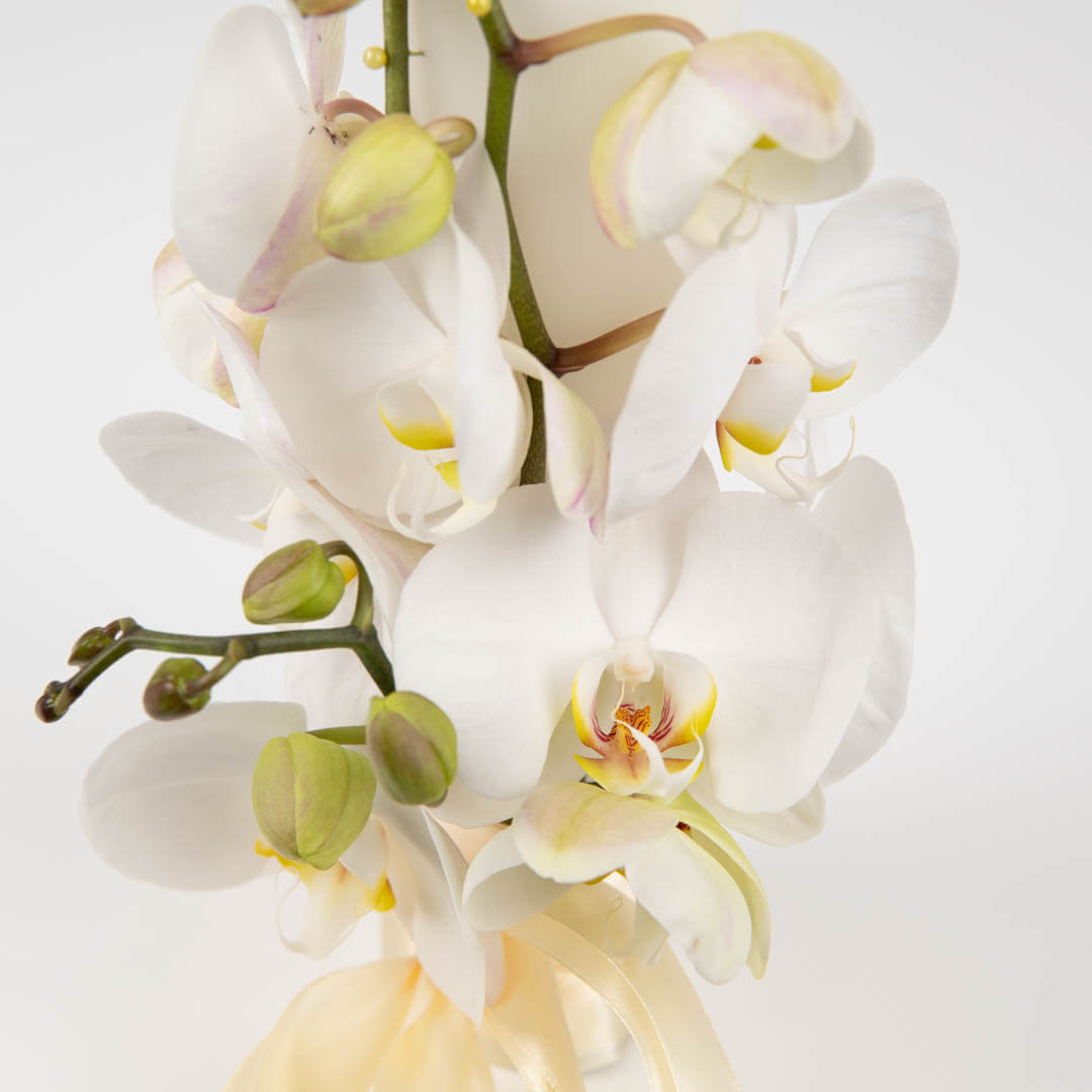 Lumanari nunta flori naturale - California Flowers, Lumanari de cununie cu orhidee Phalaenopsis, californiaflowers.mom
