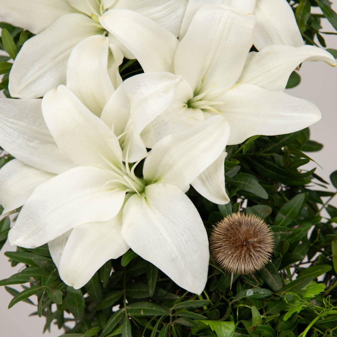 Coroane funerare, Coroana de flori rotunda cu crini albi, californiaflowers.mom