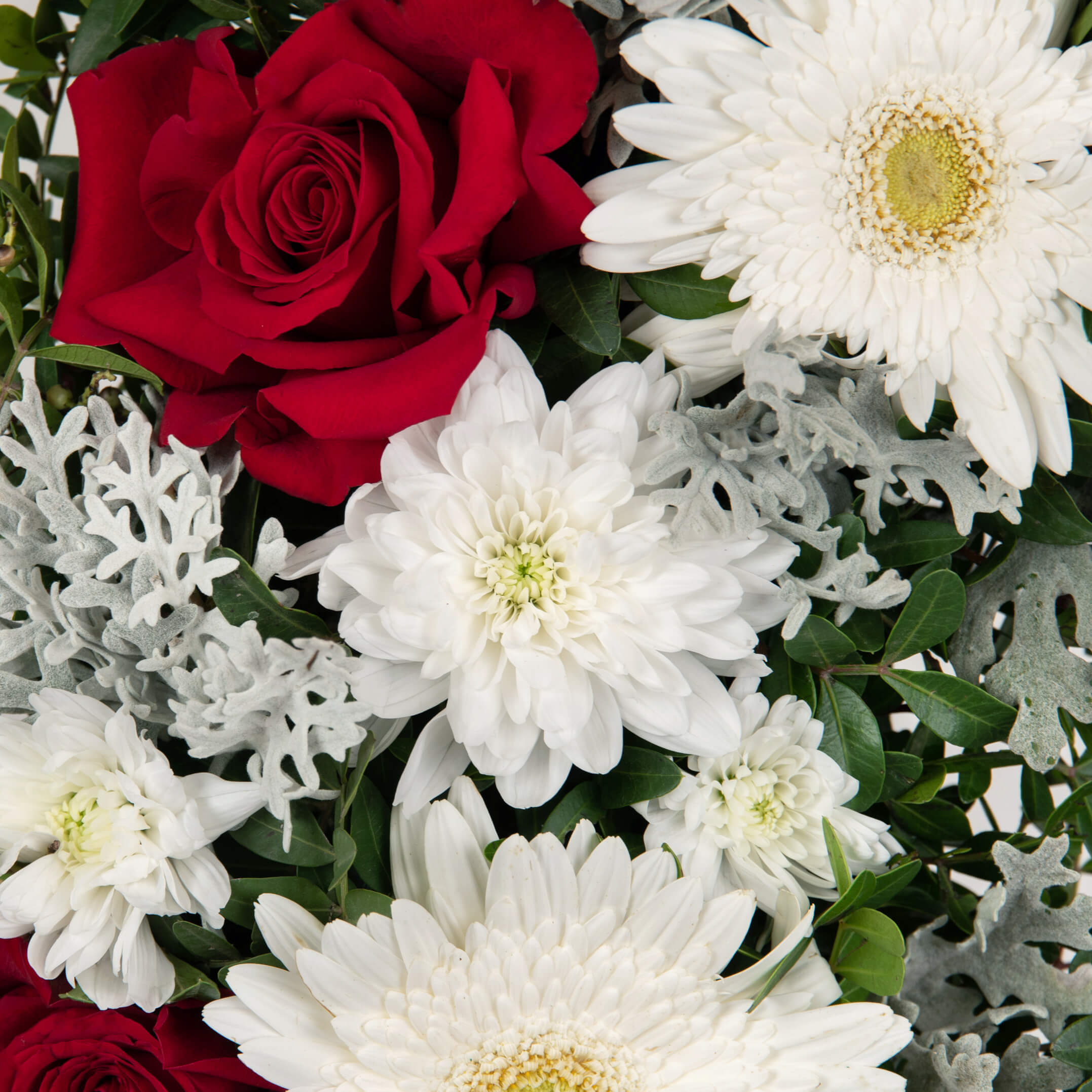 Produse, Coroana funerara rotunda cu gerbera si trandafiri rosii speciali, californiaflowers.mom
