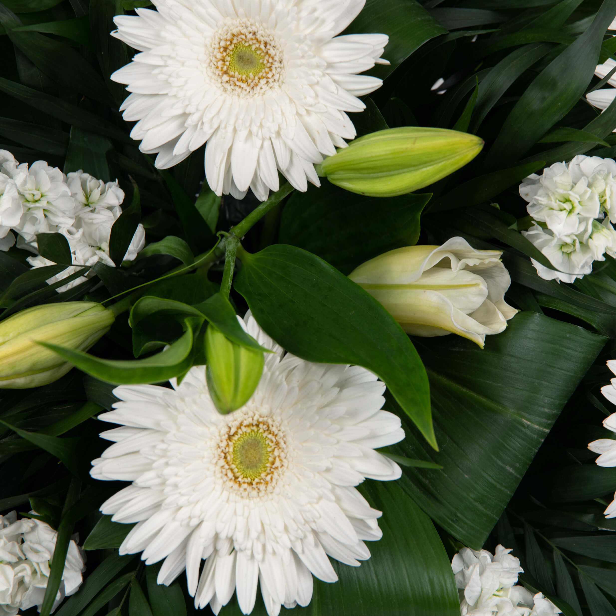 Coroane funerare, Aranjament floral funerar cu gerbera si crin, californiaflowers.mom