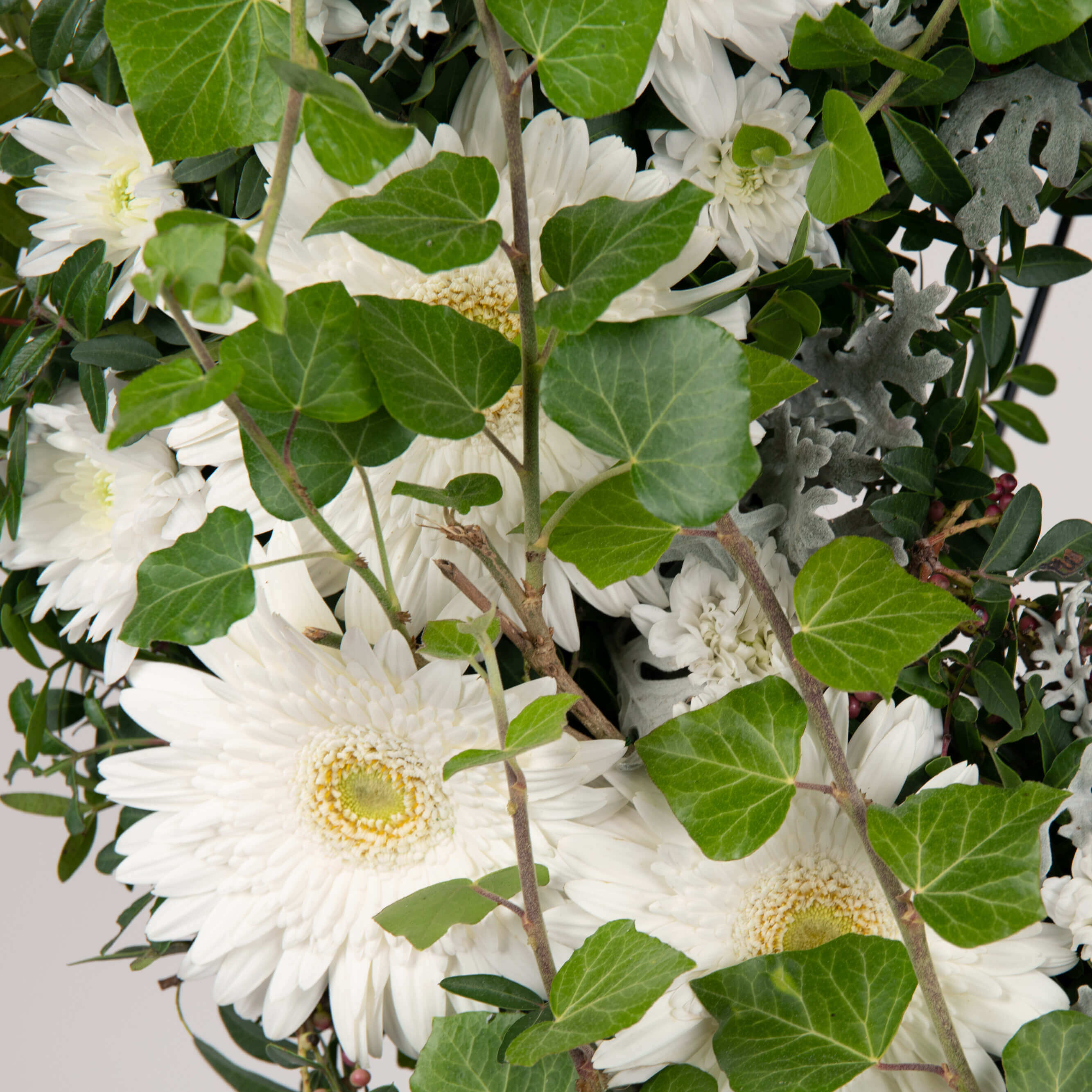 Coroane funerare, Coroana de flori rotunda cu gerbera, crizanteme si hedera, californiaflowers.mom