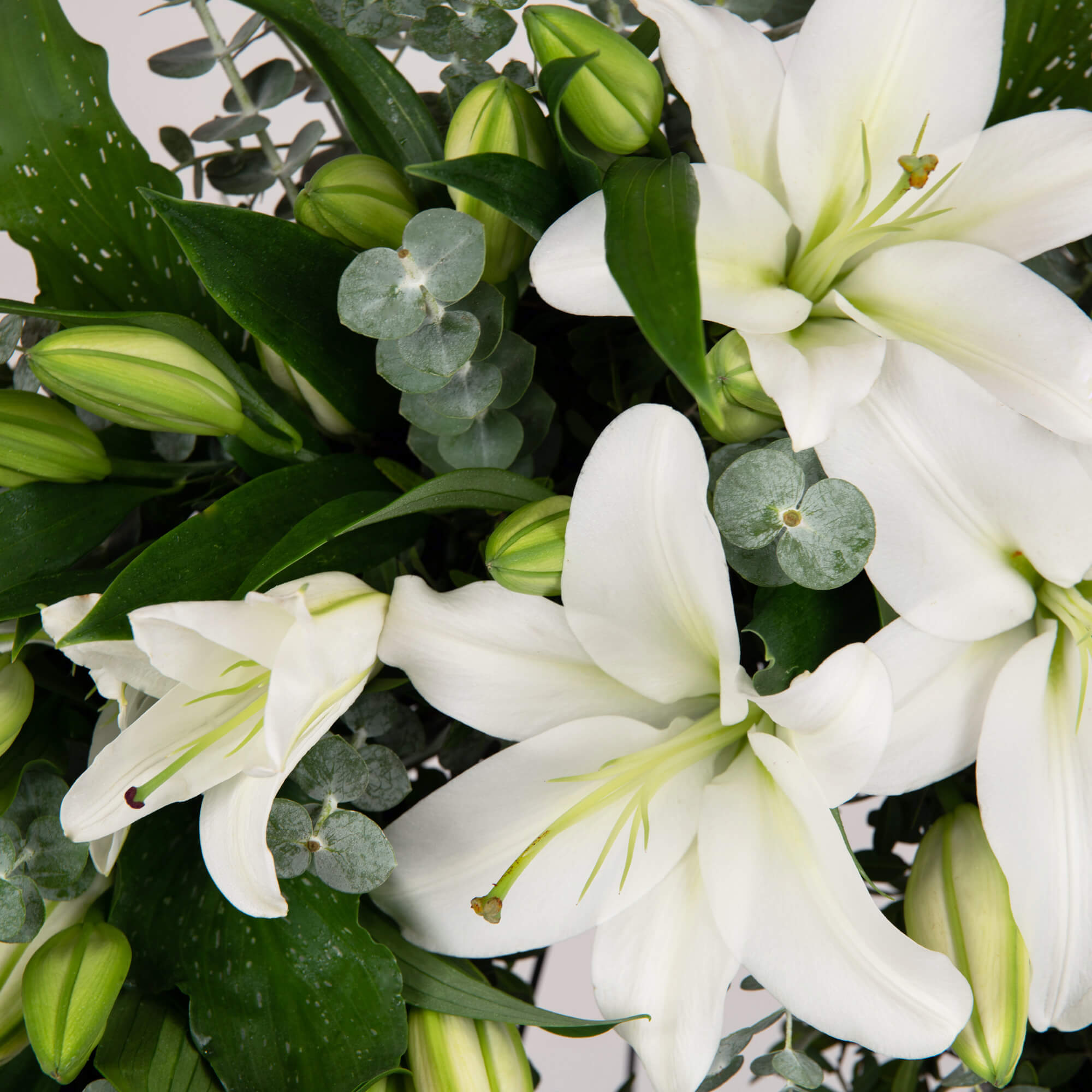 Produse, Aranjament floral funerar cu cale si crini, californiaflowers.mom