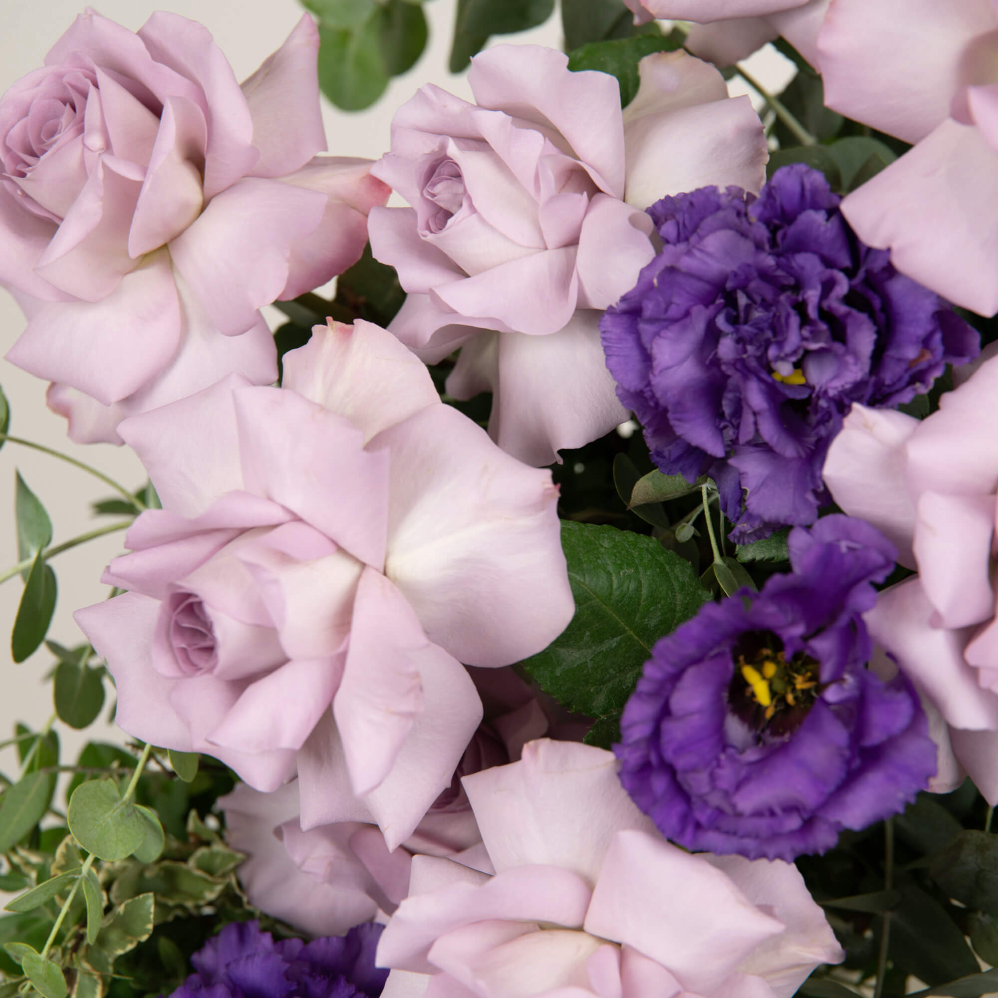 Coroane funerare, Coroana de flori rotunda cu eucalipt si trandafiri mov, californiaflowers.mom