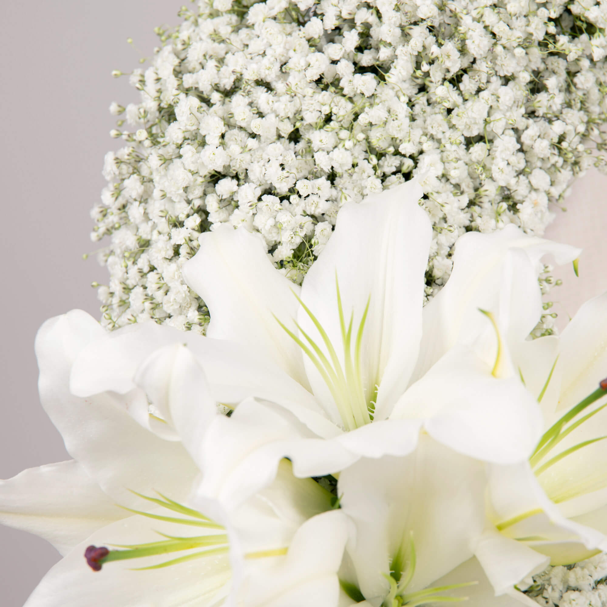 Căutare: s-au găsit 32 rezultate pentru „crini*”, Coroana funerara rotunda cu gypsophila si crini, californiaflowers.mom